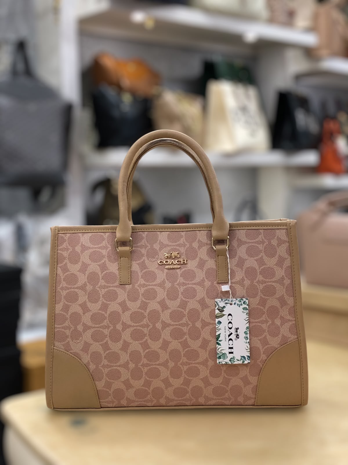 Coach Signature Tote Bag – Beige