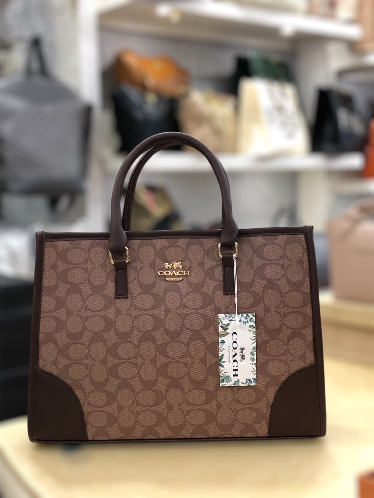 Coach Signature Tote Bag – Beige